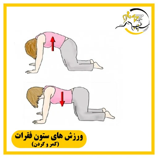 ورزش های ستون فقرات (کمر و گردن)؛ بدون تجهیزات
